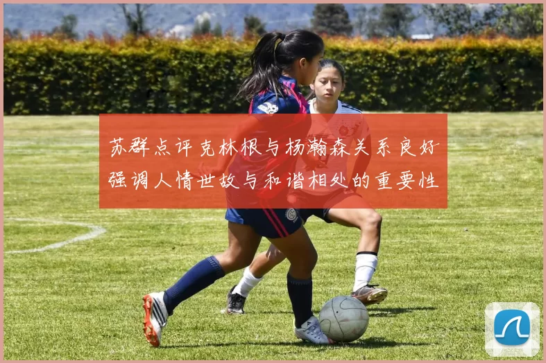 苏群点评克林根与杨瀚森关系良好强调人情世故与和谐相处的重要性