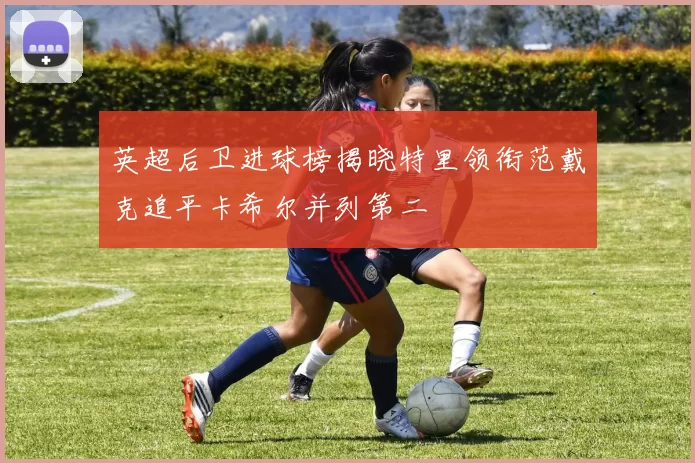 英超后卫进球榜揭晓特里领衔范戴克追平卡希尔并列第二