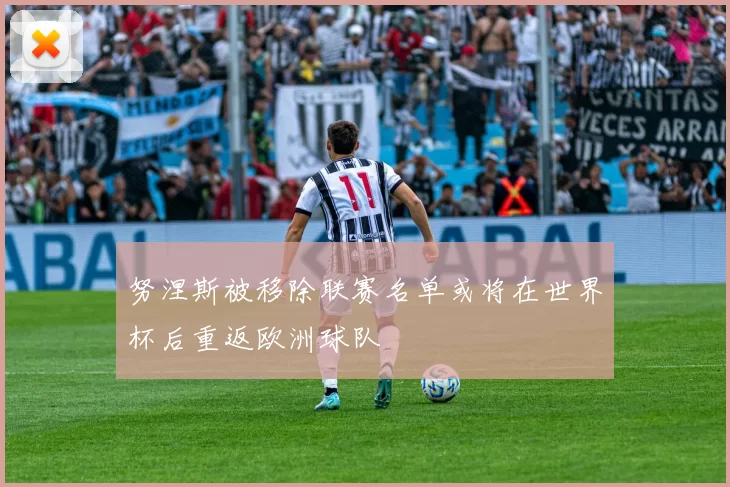 努涅斯被移除联赛名单或将在世界杯后重返欧洲球队